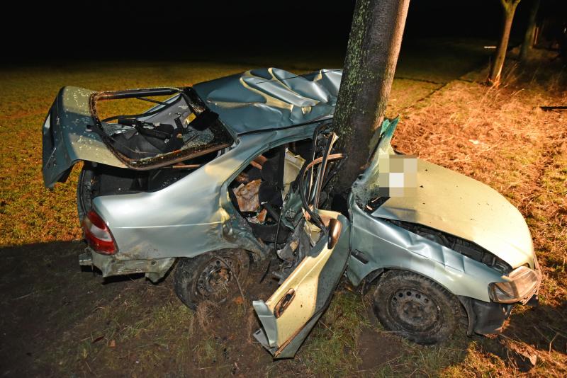Baumstamm bohrt sich durch Fahrzeugwrack: Mann stirbt bei Horror-Crash