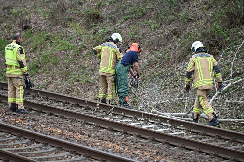 Baum kippt auf Bahnstrecke: Feuerwehr muss anrücken