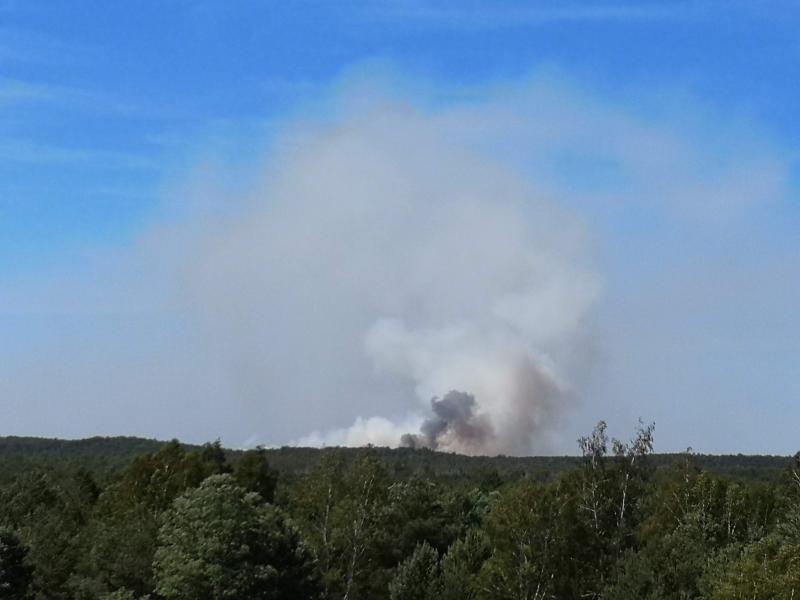 Waldbrand hält Feuerwehr in Atem: Fünf Hektar betroffen