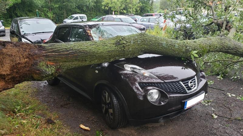 Baum stürzte auf vier Autos