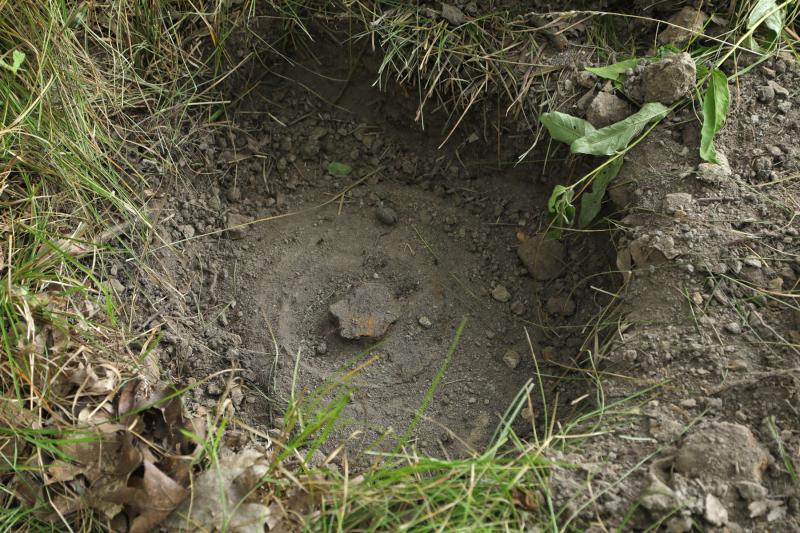 Panzermine in der Dippoldiswalder Heide gesprengt