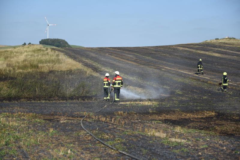 Feuerwehr kämpft gegen brennendes Stoppelfeld
