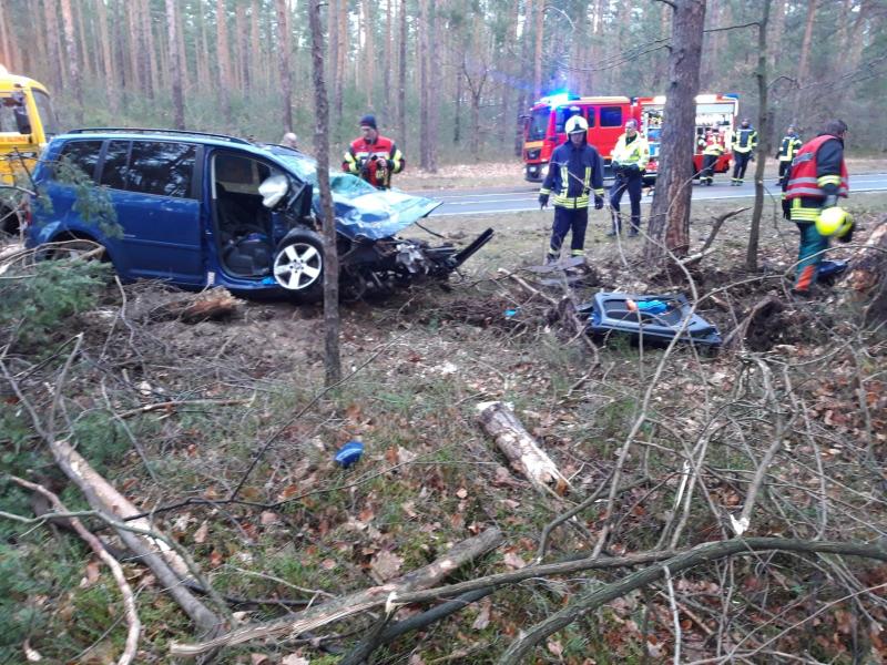 VW kracht in Bäume - 1 Schwerverletzte