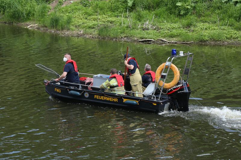 Feuerwehr wollte verletzten Schwan auf der Elbe retten