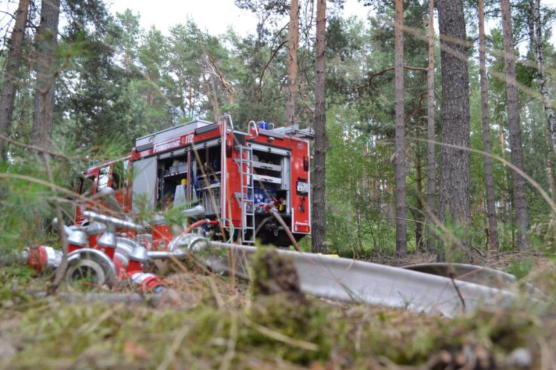 Feuerwehr kämpft gegen Waldbrand