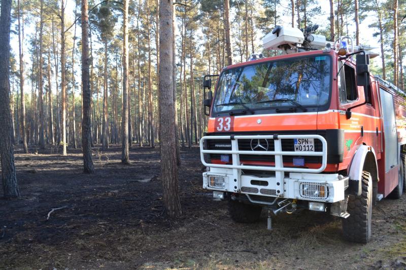Kriminalpolizei ermittelt: Drei Hektar Wald stehen in Flammen