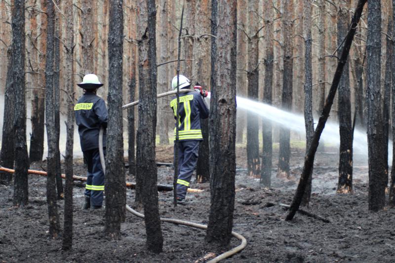 Feuerwehr rückt zu Waldbrand aus