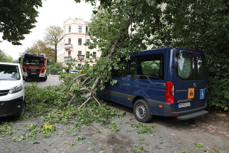 Teile eines Baumes stürzten auf geparkten Kleinbus - Feuerwehr im Einsatz