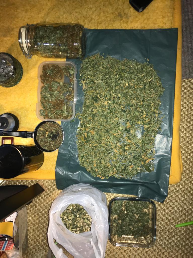 300 Gramm Cannabis bei Ruhestörer gefunden