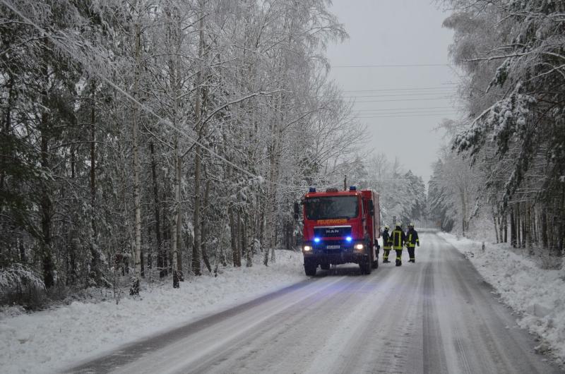 Schneefall sorgt für umgestürzte Bäume: Feuerwehr im Einsatz