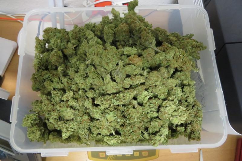 Ein Kilogramm Marihuana gefunden - Zwei Tatverdächtige festgenommen