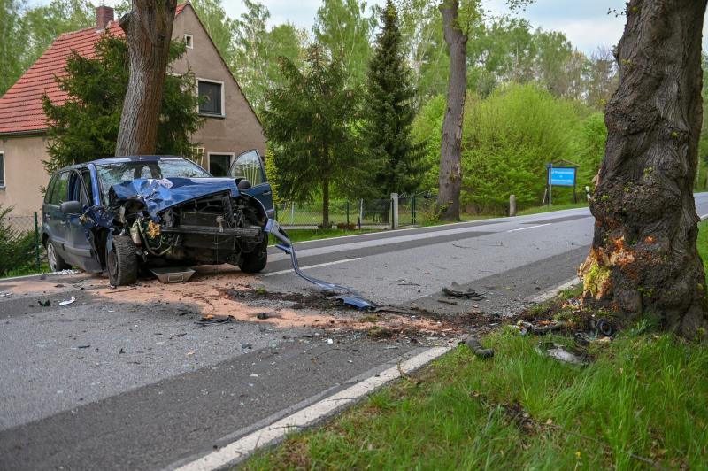 Ungebremst gegen Baum gecrasht: Ford-Fahrer schwer verletzt