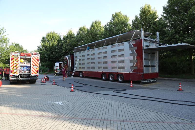 Feuerwehr kühlte Schweine auf Tiertransporter