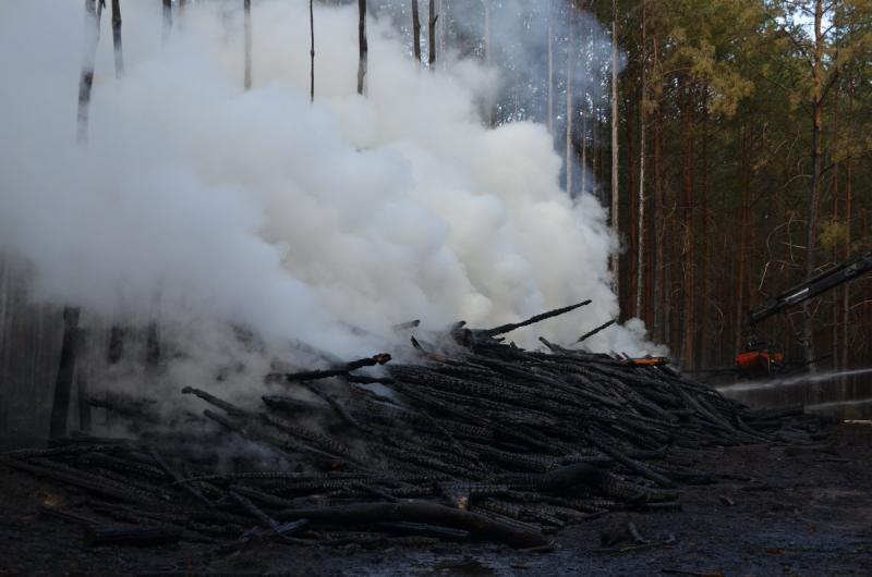 Feuer von Holzstapel greift auf Wald über