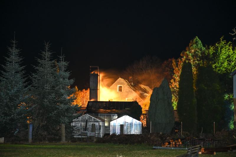 Fahrlässige Brandstiftung? Ofen sorgt für Brand in Gewächshaus von Gärtnerei