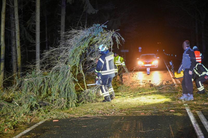 Feuerwehr beseitigt umgestürzte Bäume