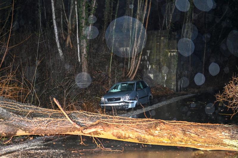 Sturmtief "Ylenia" fegt über Ostsachsen: VW-Fahrer erkennt umgestürzten Baum zu spät