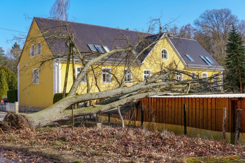 Sturm sorgt für Schäden: Baum wird entwurzelt und stürzt auf Carport