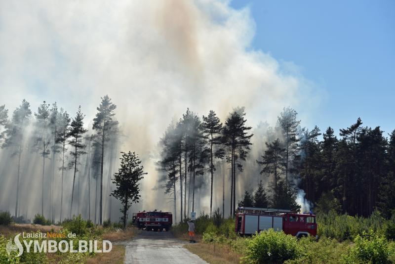 Waldstück bei Bernsdorf in Flammen