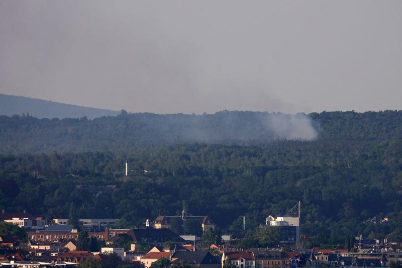 Wald brannte bei Hellerau