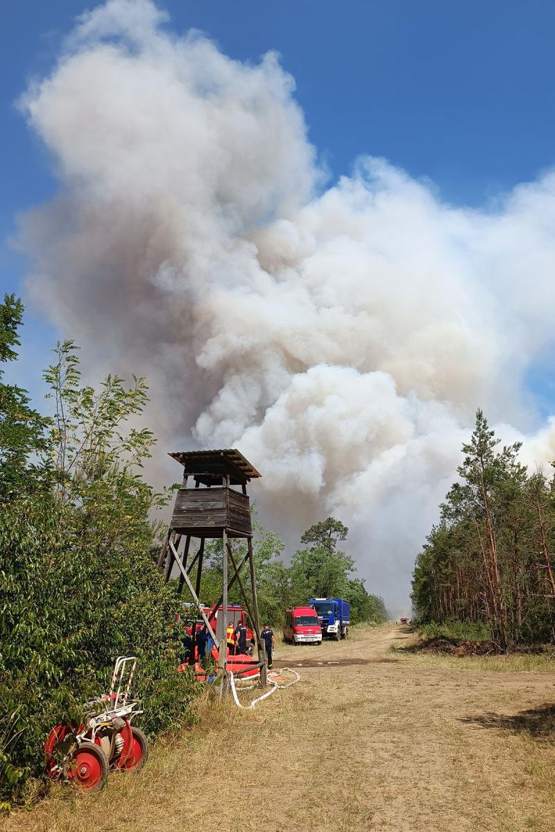 200 Hektar Wald brennen bei Gröditz - über 200 Einsatzkräfte bei der Brandbekämpfung