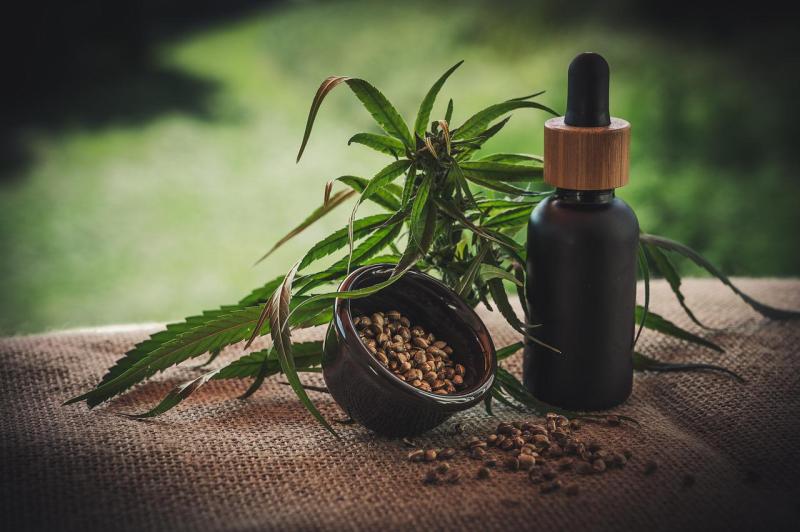 CBD – Alles Wissenswerte rund um den Extrakt der Cannabispflanze