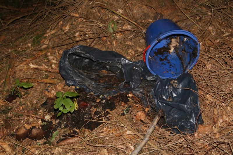 Skelettteile eines Säuglings im Karlswald gefunden – Die Polizei geht Spuren nach und sucht weiterhin Zeugen