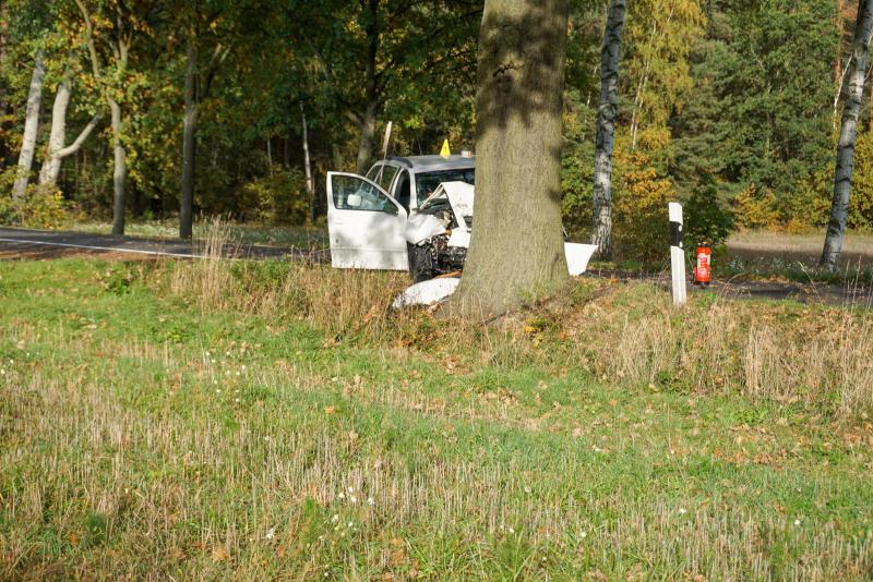PKW kracht frontal gegen Baum: Fahrer stirbt