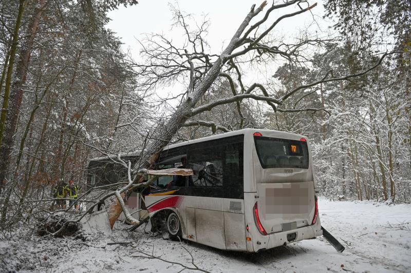Schwerer Unfall mit Linienbus: Baum durchschlägt Fahrzeugseite