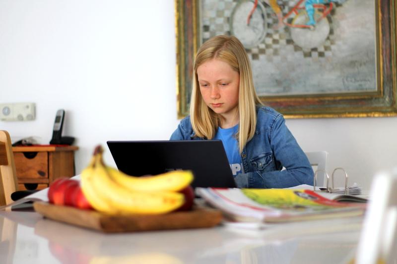 Online-Nachhilfe: Auf was man als Eltern achten sollte?